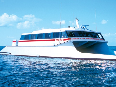 FastCat_480