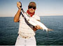 captainpeteking_icon