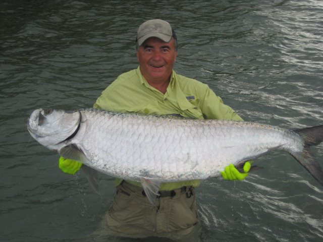 Belize2012Tarpon640x480