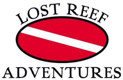 Logo01.jpg