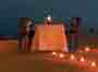 littlepalmisland_icon-64