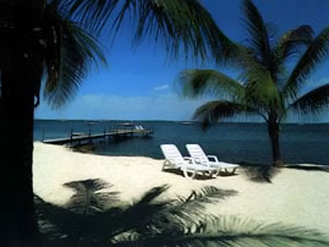 baycove_pic