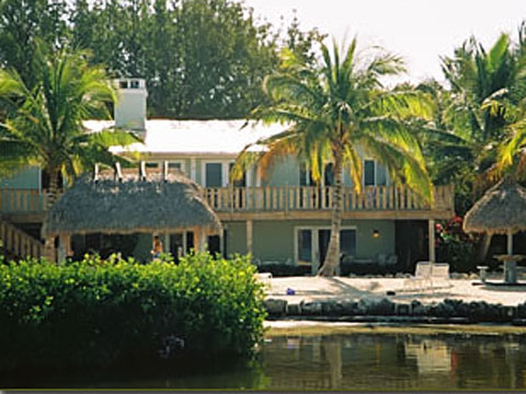 coconutpalm_pic