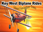 islandaeroplane_icon