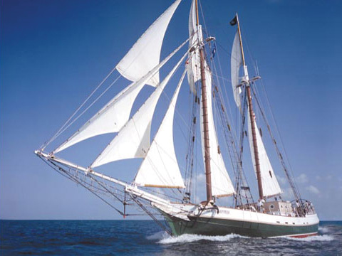 Florida Memory • View of ship's rigging on the main mast of the historic Western  Union schooner - Key West, Florida