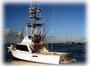 ReelReef_icon