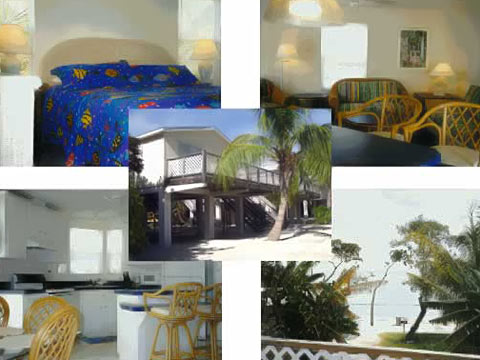 conchkeycottages_pic
