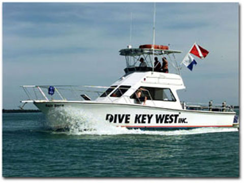 divekeywest_pic