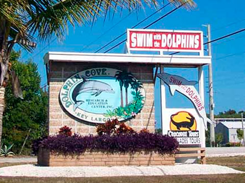 dolphinscove_pic1