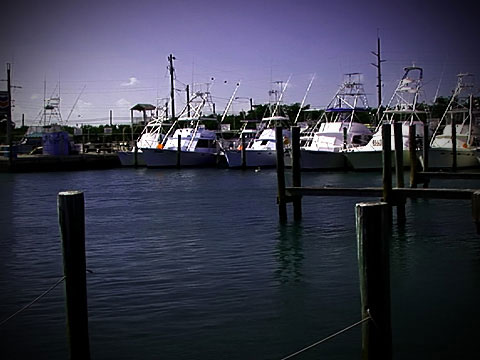 holidayisle_pic