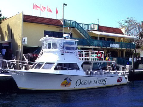 oceandivers_pic