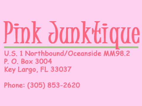 pinkjunktique_pic