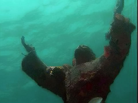 seadwellers_pic