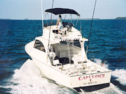 CaptConch_pic