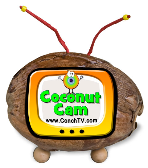 Coconut Cam